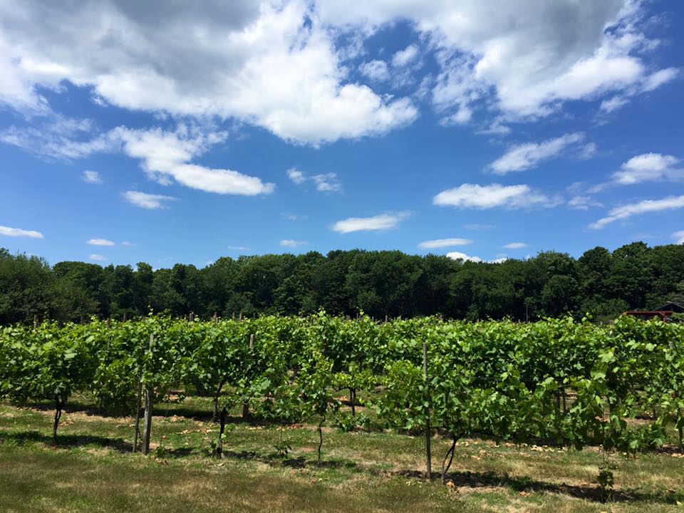 Town of Woodbridge Visit CT